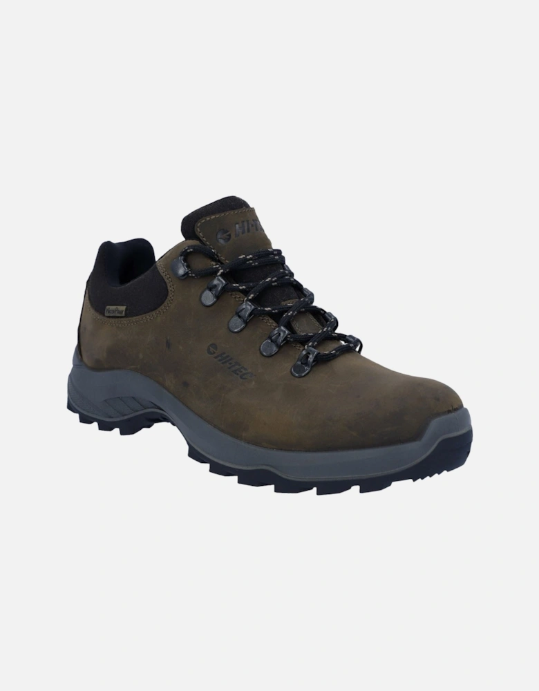 Walk Lite Camino Ultra Leather Women's Brown Hiking Boots