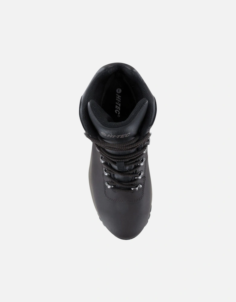 Eurotrek Lite Waterproof Faux Leather Men's Dark Chocolate Hiking Boots