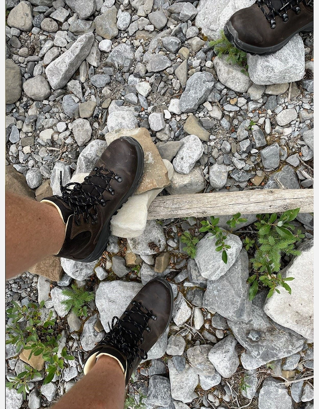 Ravine Pro Leather Men's Brown Hiking Boots