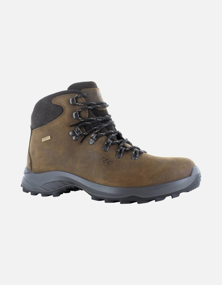 Ravine Lite Leather Men's Brown Hiking Boots