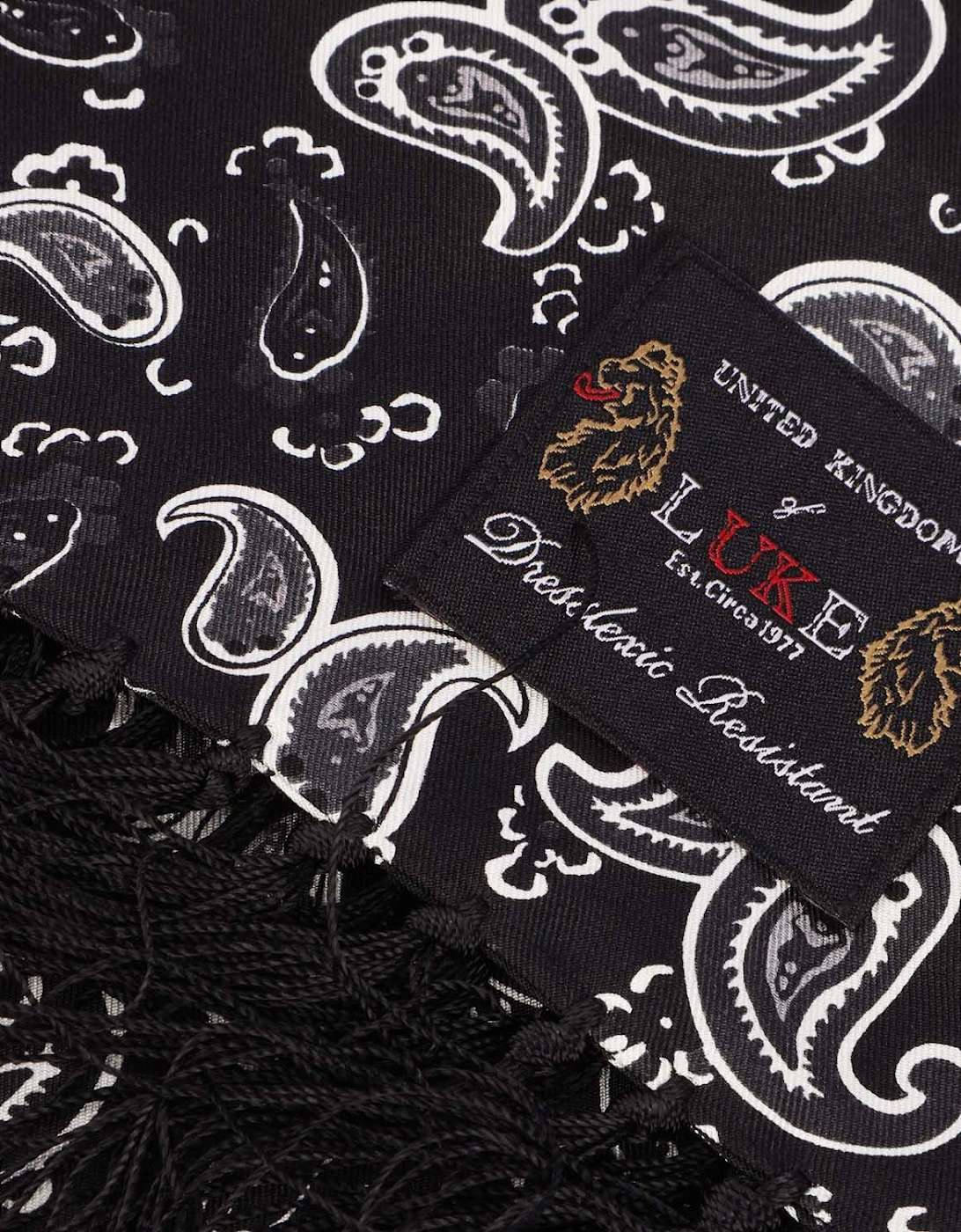 Paisley One Scarf