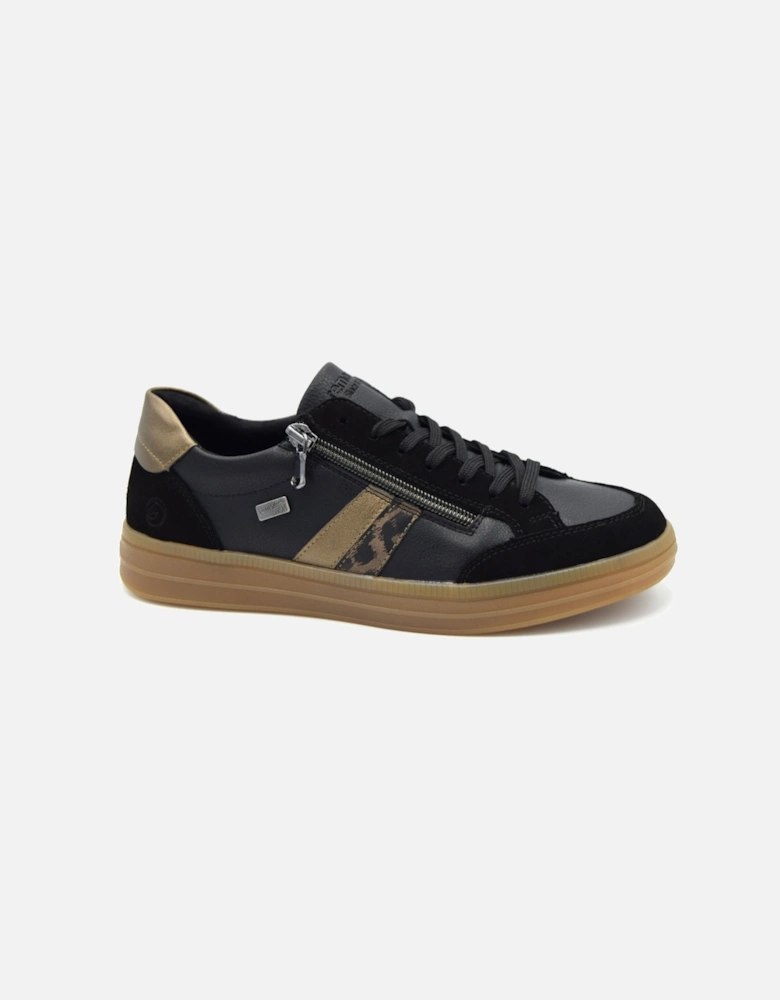 GAZELLE D2C04