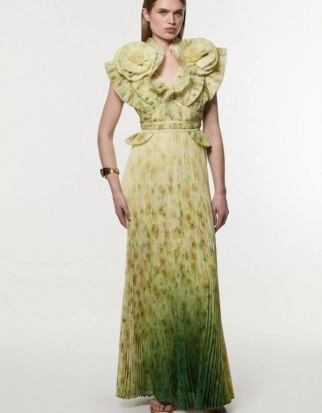 Crinkle Pleat Border Print Maxi Dress With Rosette Detail, 2 of 1