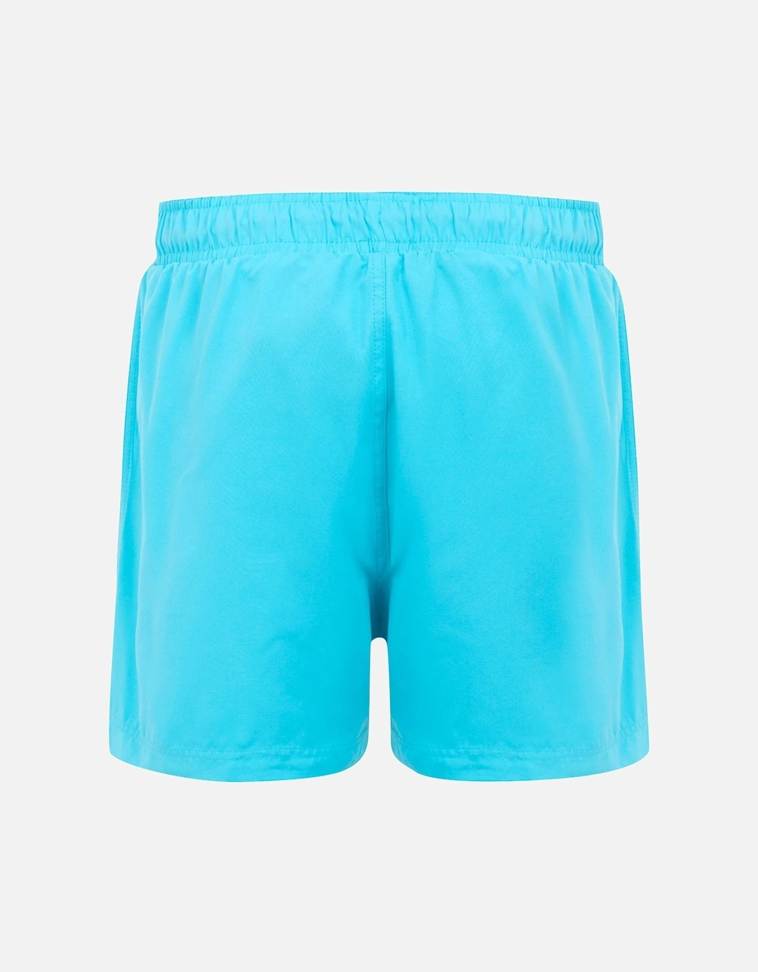 Mens Mawson III Quick Drying Swimming Shorts