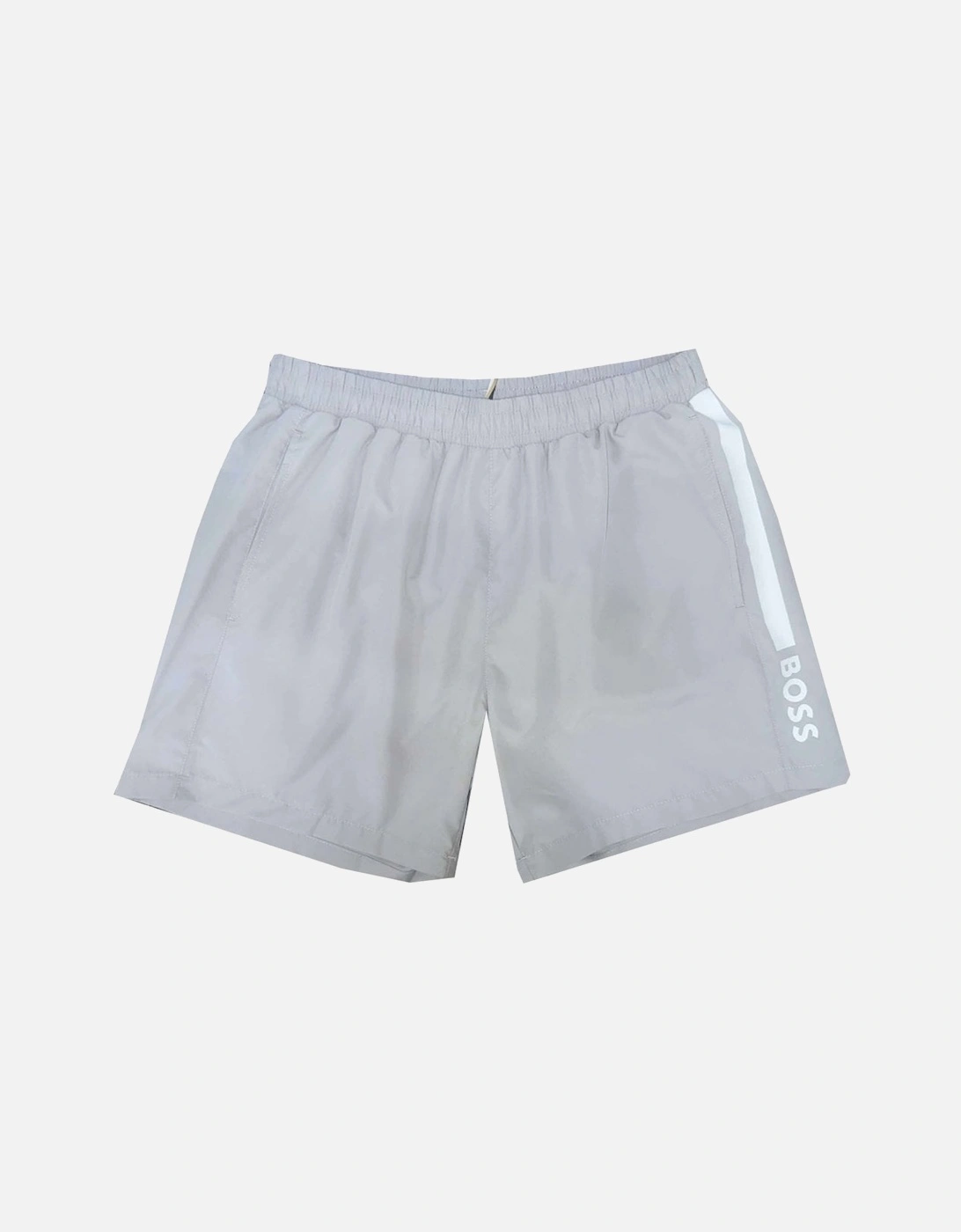 Men's Grey Dolphin Swim Shorts, 4 of 3