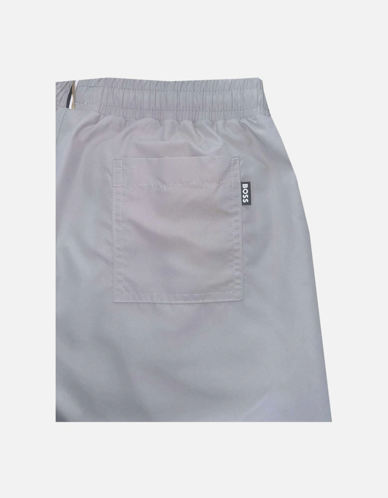 Men's Grey Dolphin Swim Shorts