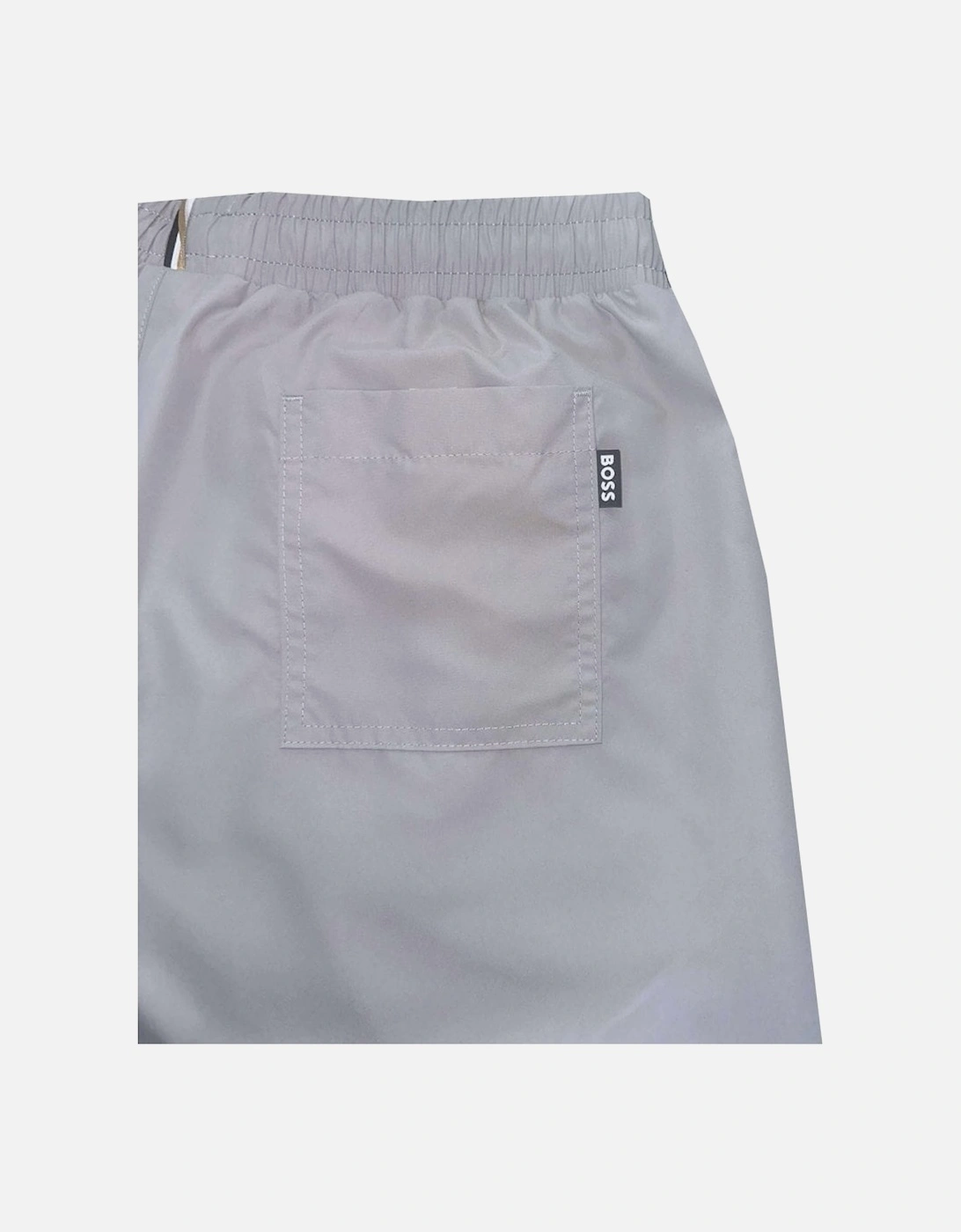 Men's Grey Dolphin Swim Shorts
