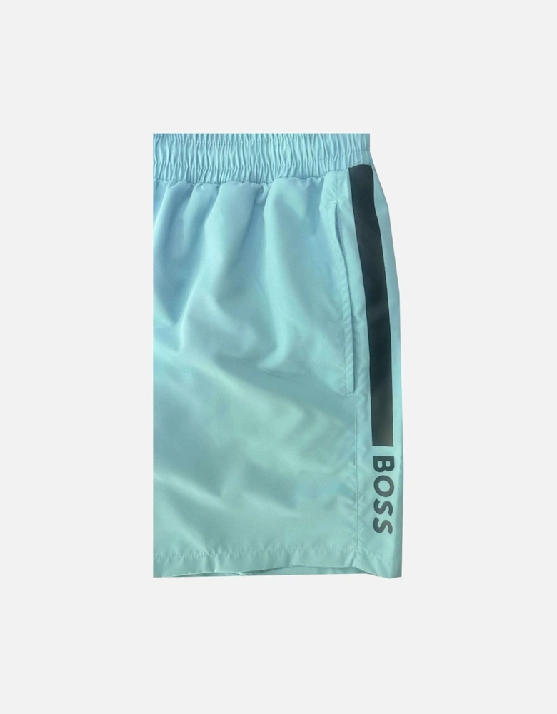 Men's Light Blue Dolphin Swim Shorts