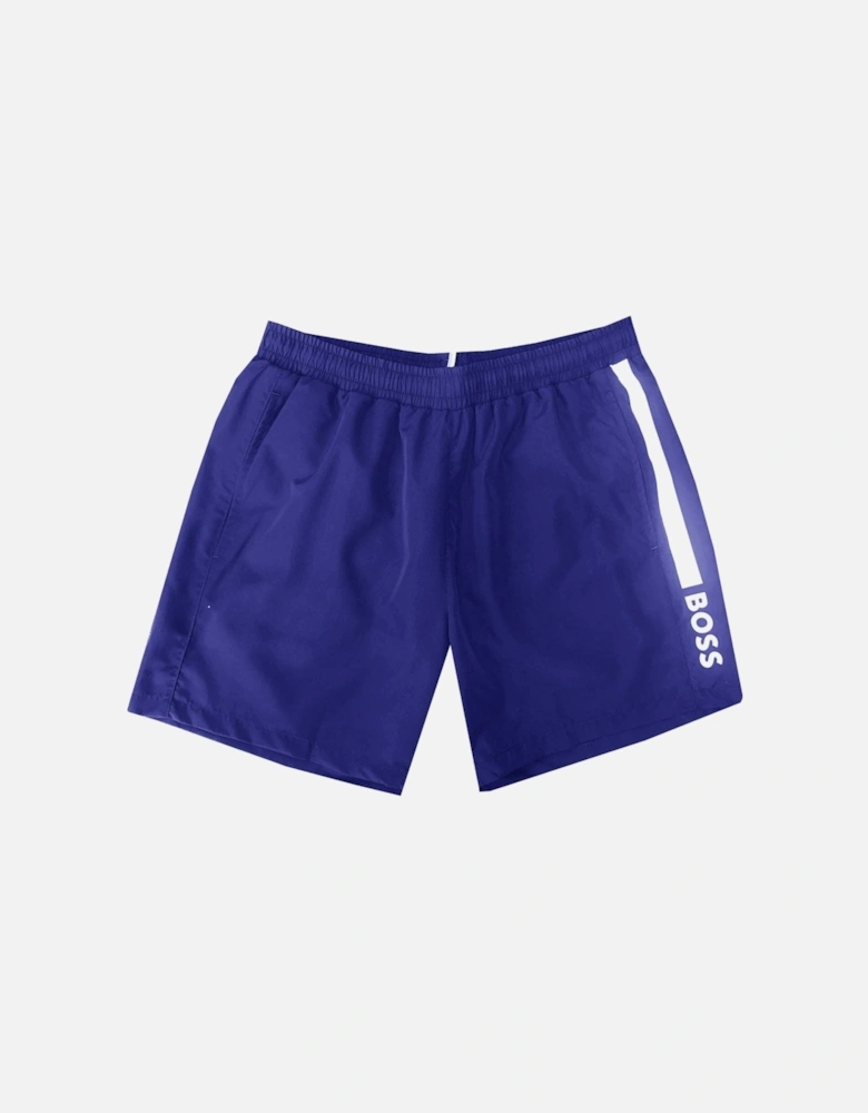 Men's Blue Dolphin Swim Shorts