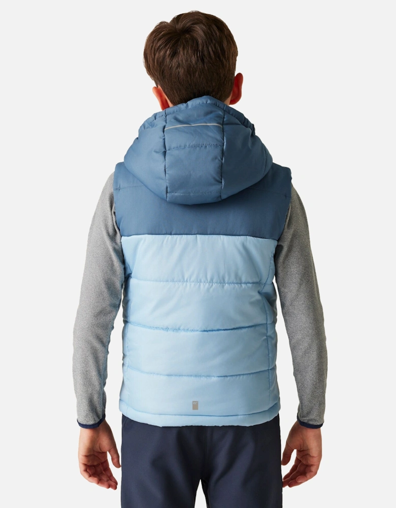 Childrens/Kids Lofthouse II Gilet