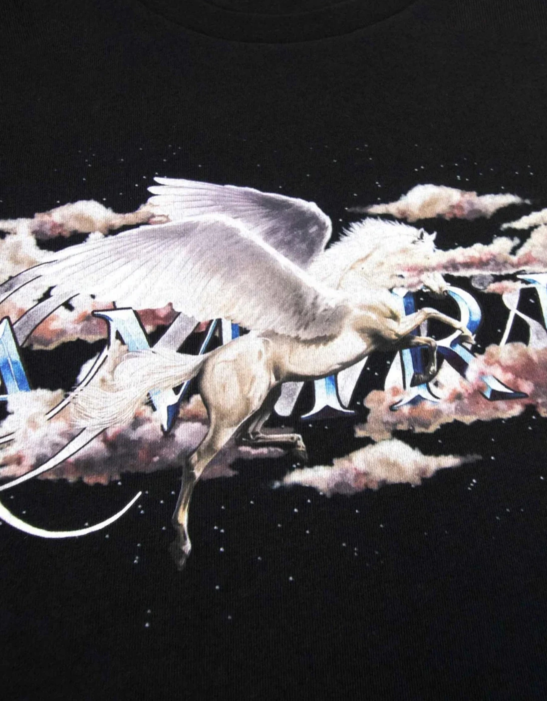 PEGASUS SCRIPT CREWNECK SWEATSHIRT BLACK