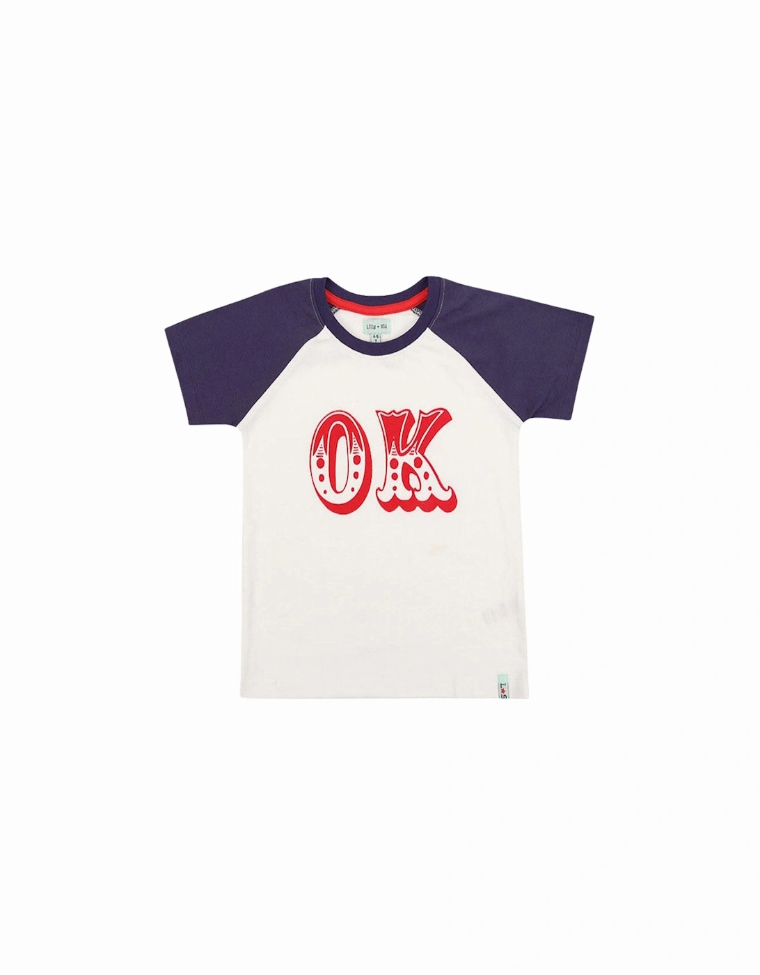 Boys Multicoloured Ok Slogan Print T-Shirt - Multi, 2 of 1