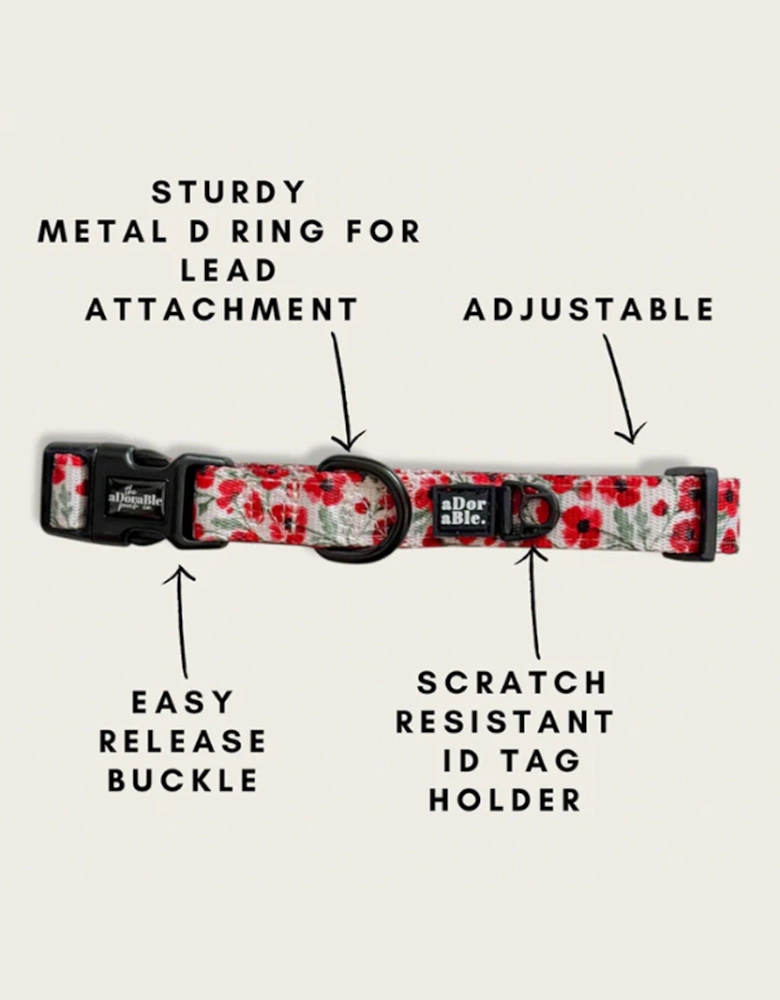 Collar Painted Poppies