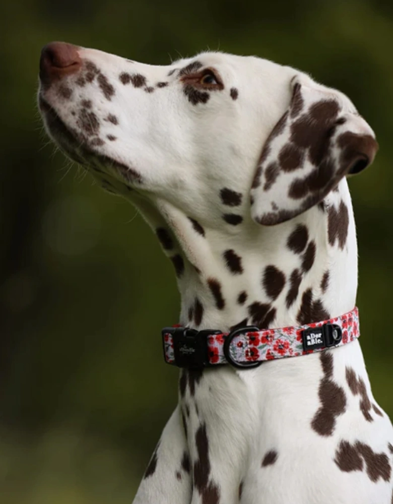 Collar Painted Poppies