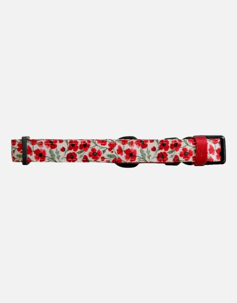 Collar Painted Poppies