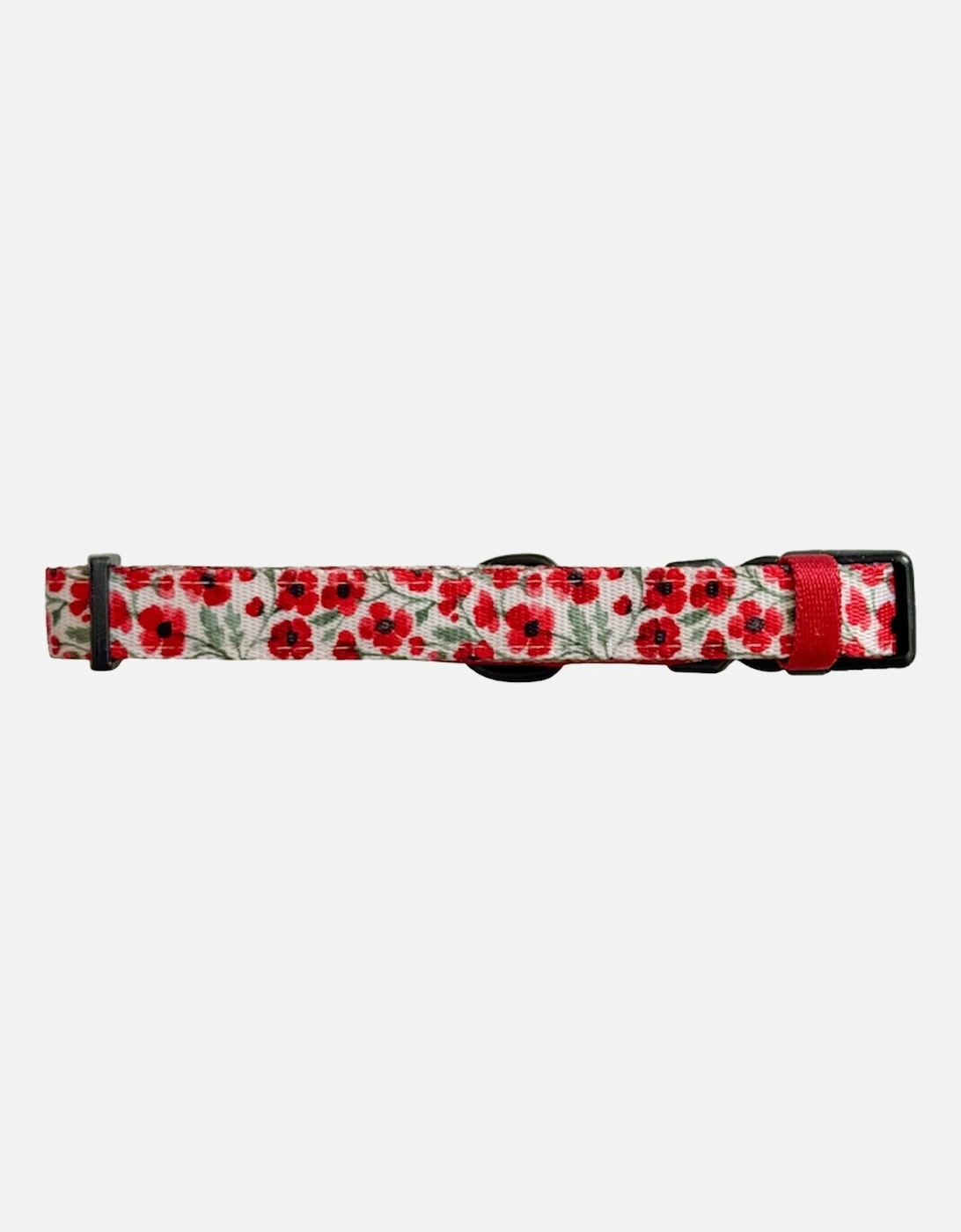 Collar Painted Poppies