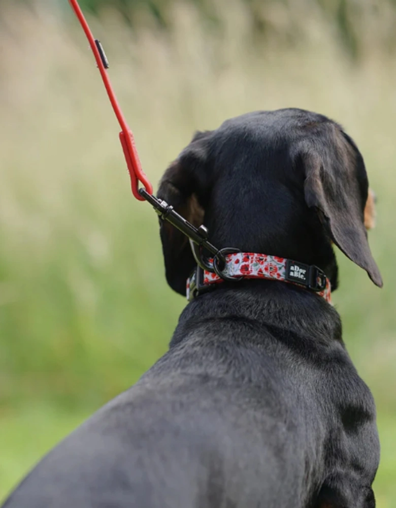 Collar Painted Poppies