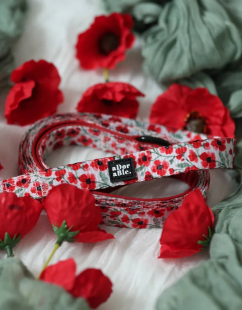 Lead Painted Poppies