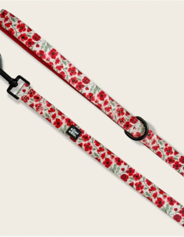 Lead Painted Poppies
