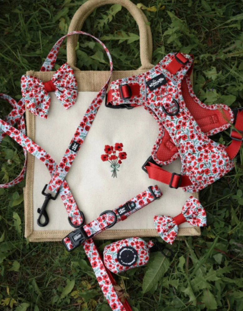 Lead Painted Poppies