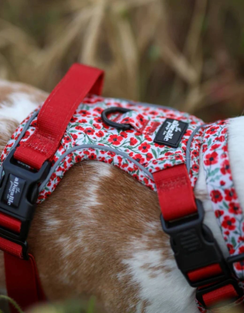 Hike & Go Harness Painted Poppies