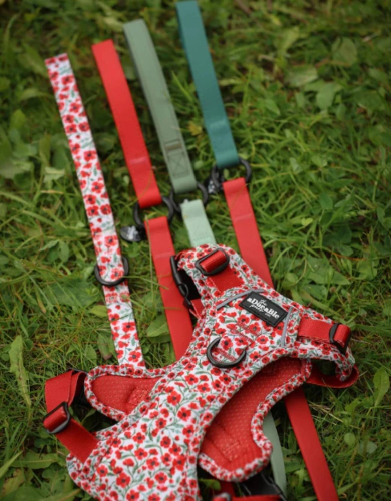 Hike & Go Harness Painted Poppies