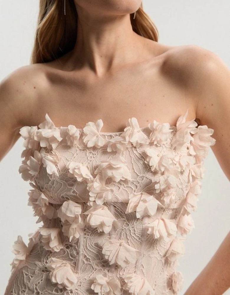 Applique Lace Corset Woven Mini Dress