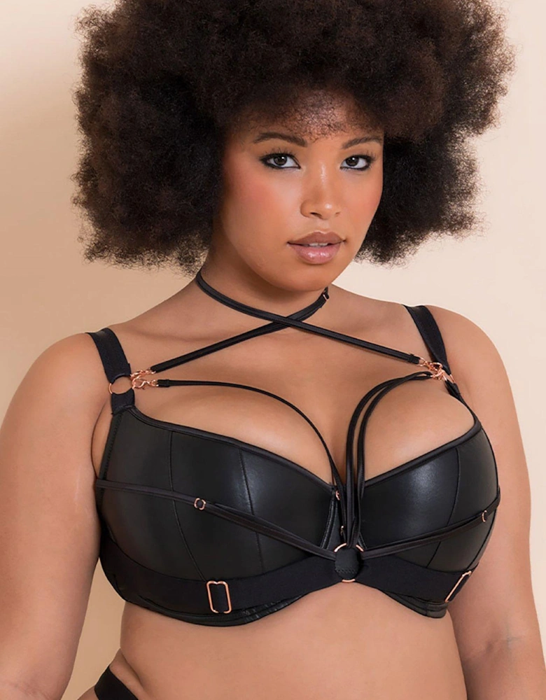 Scantilly Harnessed Padded Half Cup Bra Black