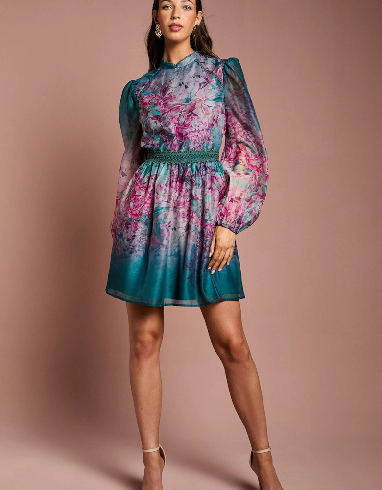 Long Sleeve Organza Mini Dress With Floral Print