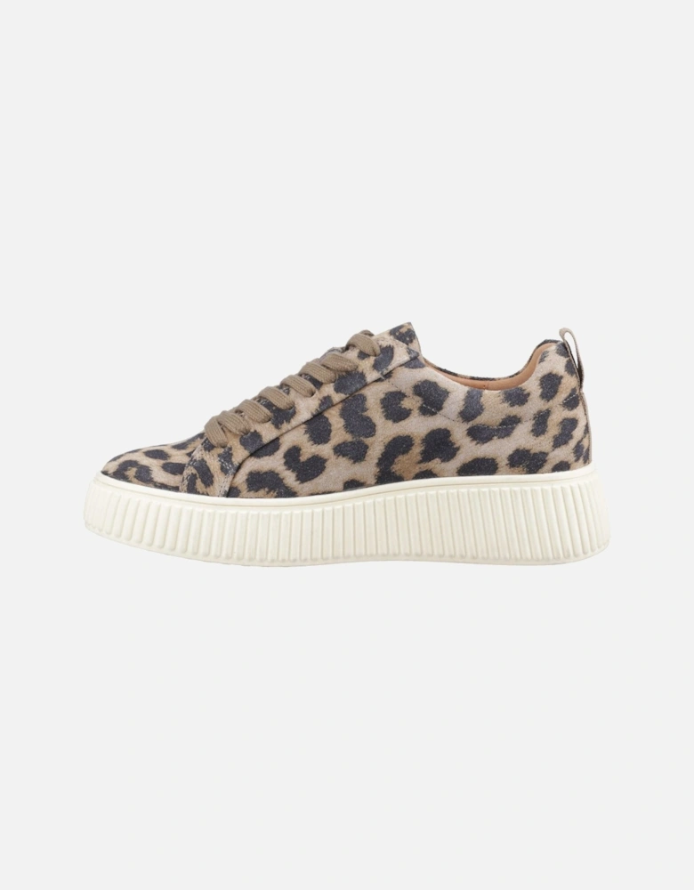 Harlow Suede Suede Women's Leopard Trainers