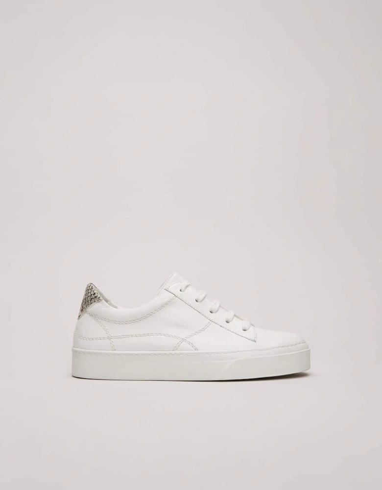White Leather Trainers