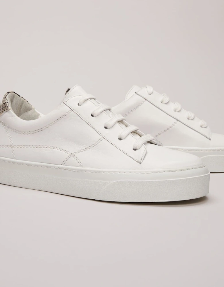 White Leather Trainers