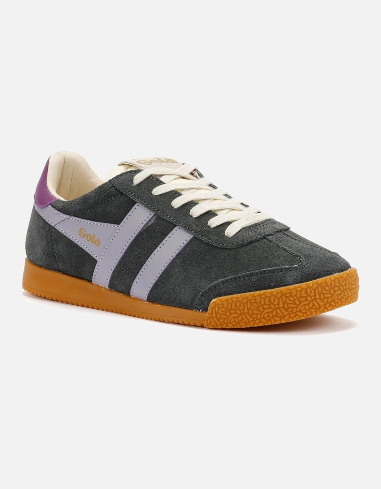 Elan Suede Women's Storm/Foxglove Trainers