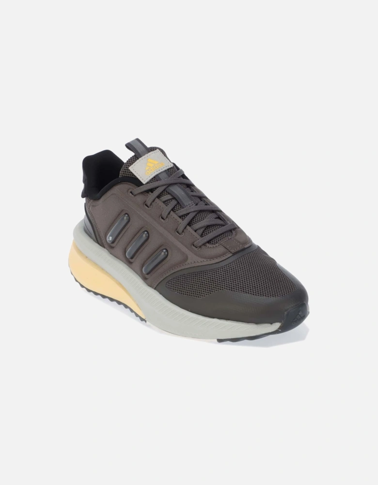 X_PLR Phase Trainers