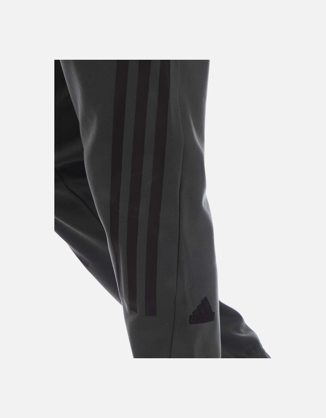Future Icons 3-Stripes Pants