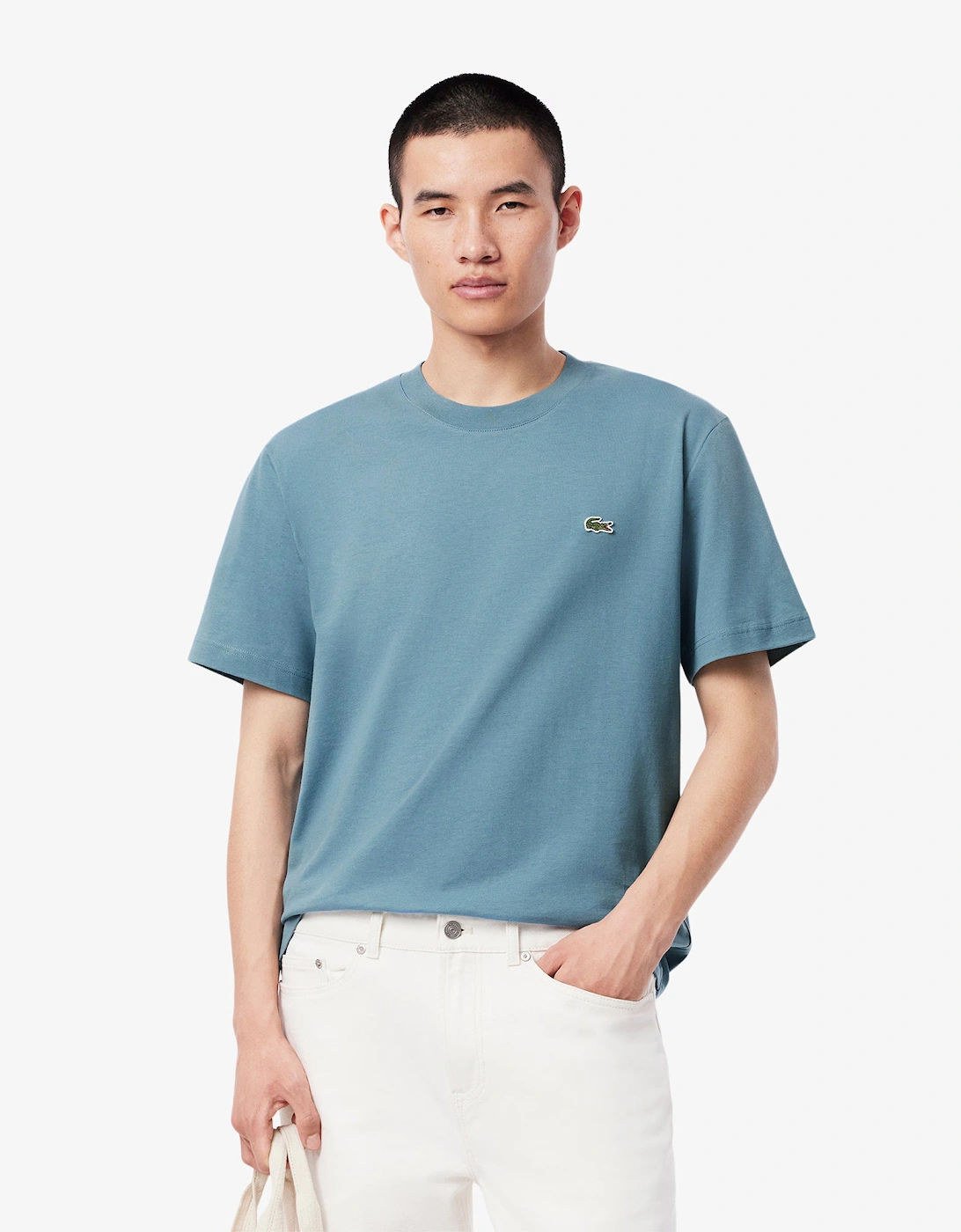Mens Classic Fit Cotton Jersey T-Shirt, 6 of 5