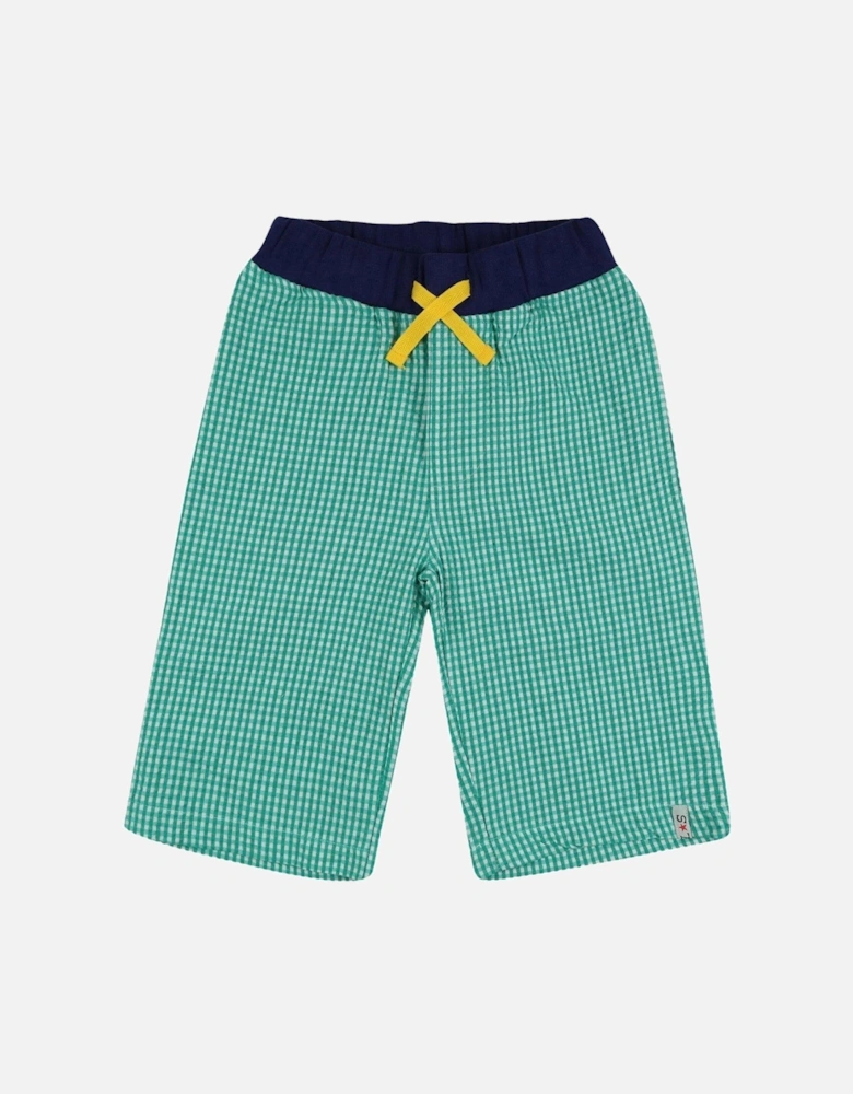 Boys Gingham Print Shorts - Green