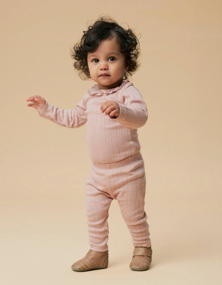Baby Girls Pointelle Leggings - Misty Rose