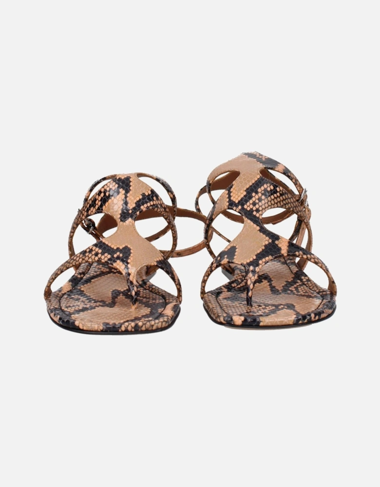 Leather Open Toe Flip Flops with Buckle Closure Women - Brown Sandals