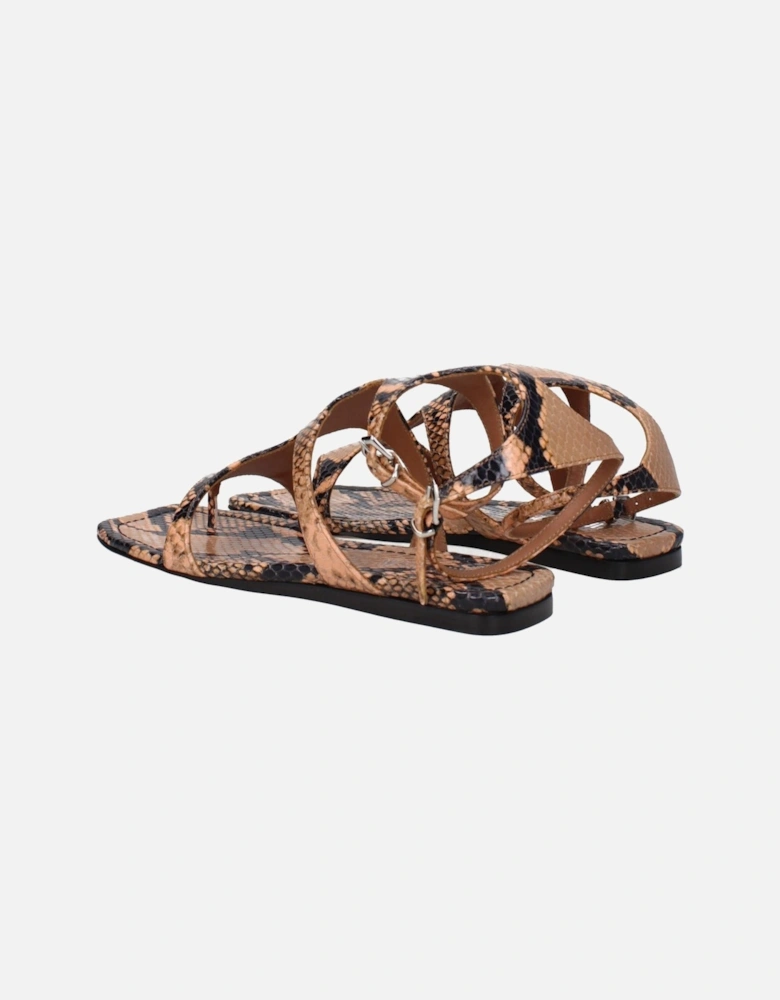 Leather Open Toe Flip Flops with Buckle Closure Women - Brown Sandals