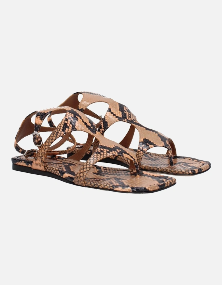 Leather Open Toe Flip Flops with Buckle Closure Women - Brown Sandals