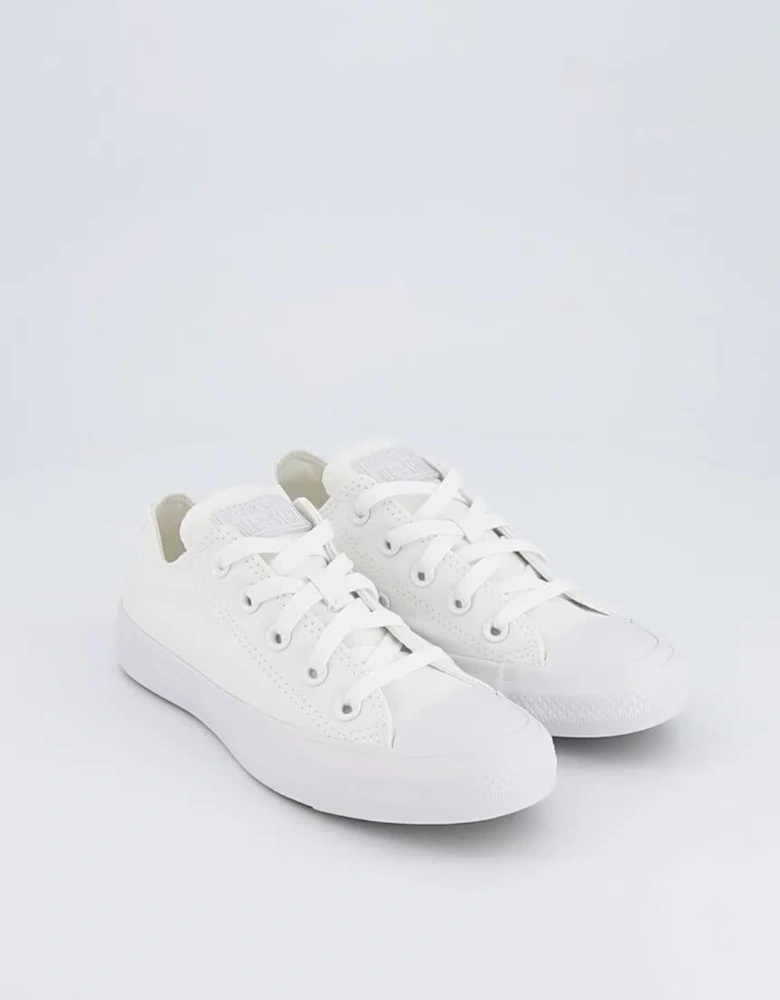 Canvas Ox Trainers - White