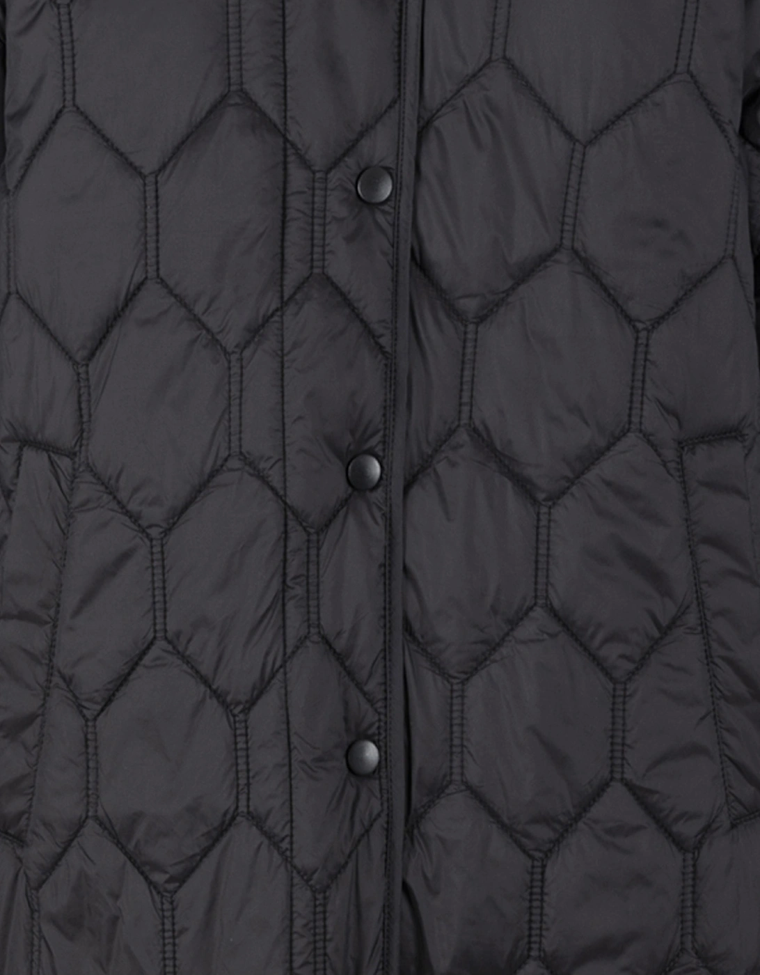 Womens/Ladies Phase Padded Jacket