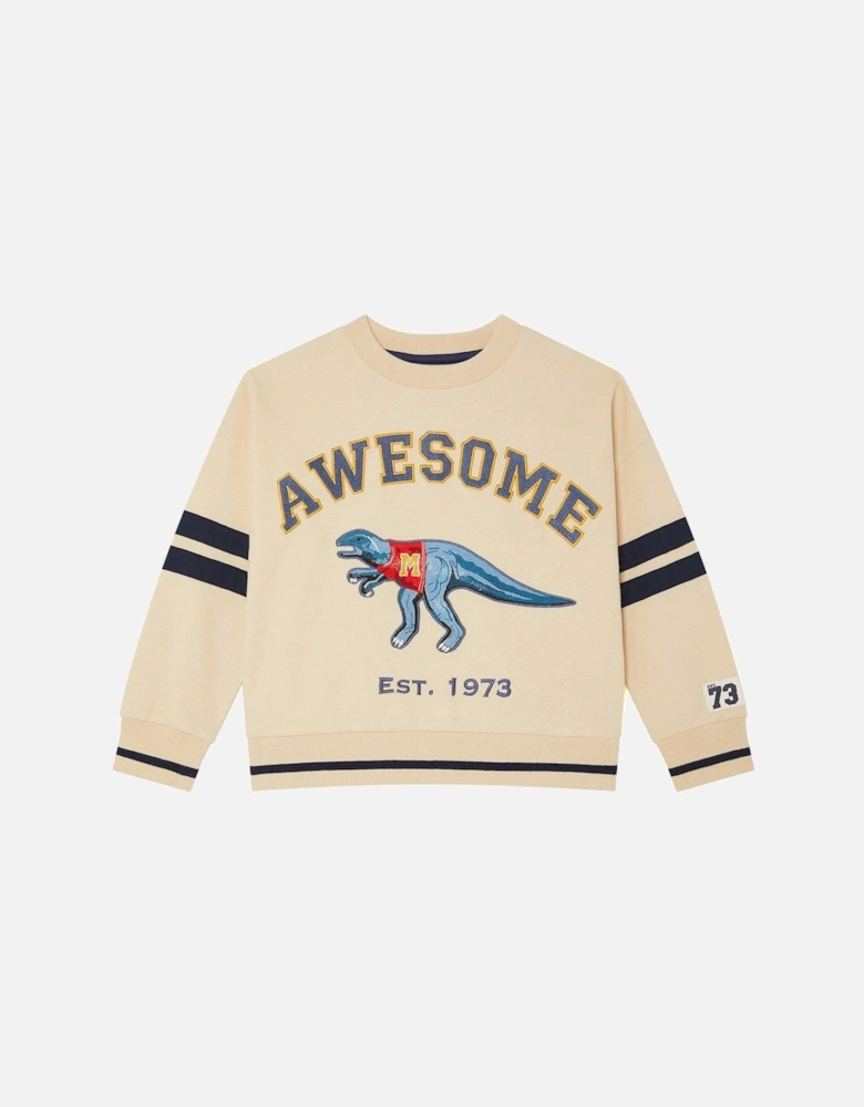 Boys Dinosaur Varsity Sweatshirt - Beige