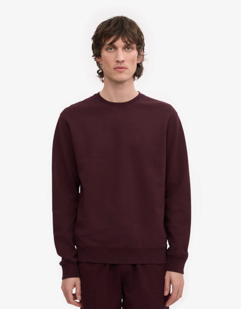 Colorful Standard Mens Classic Organic Crew Neck Sweatshirt - Oxblood Red