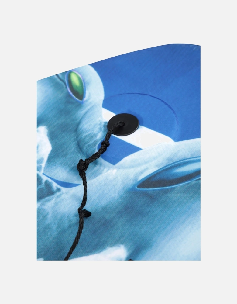 Dolphin Bodyboard