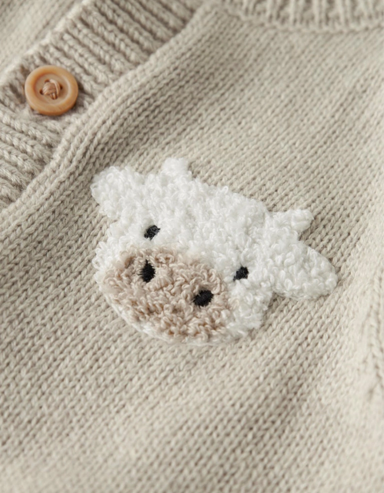 Baby Boy's Lional Long Sleeve Knit Cardigan Peyote Melange