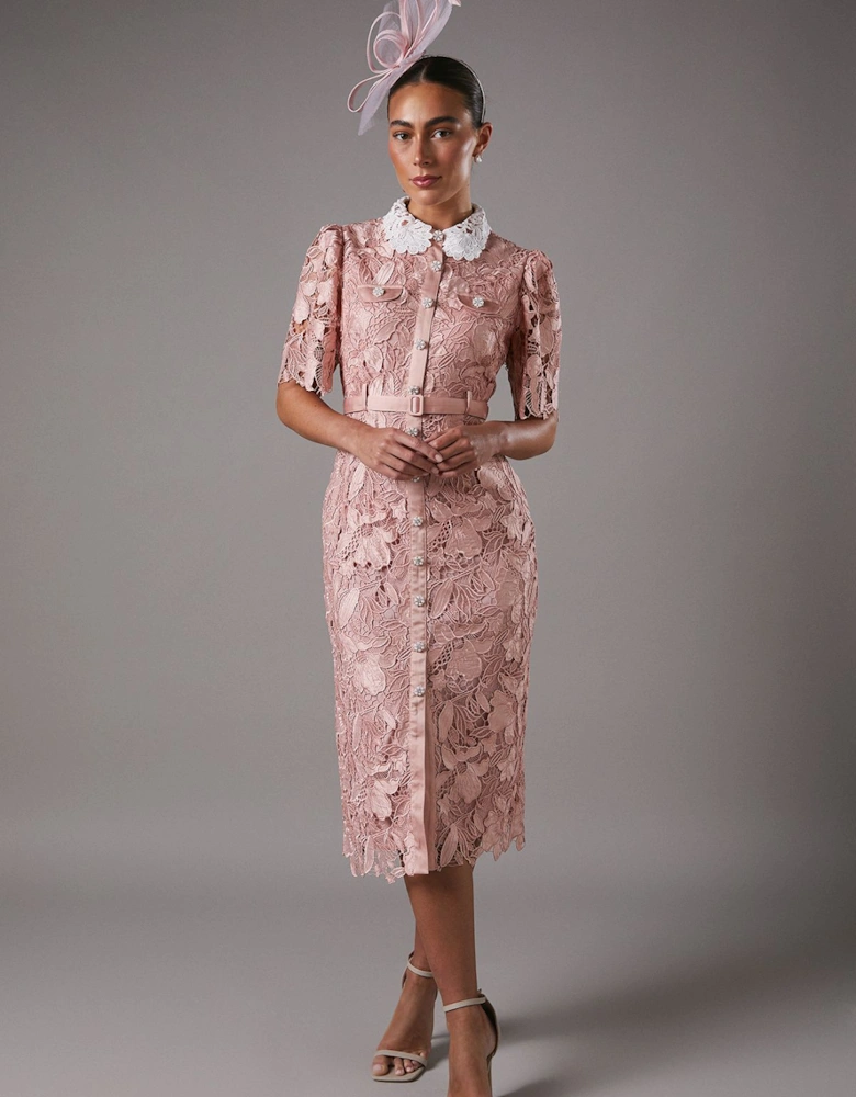 Lace Shirt Dress Contrast Colour