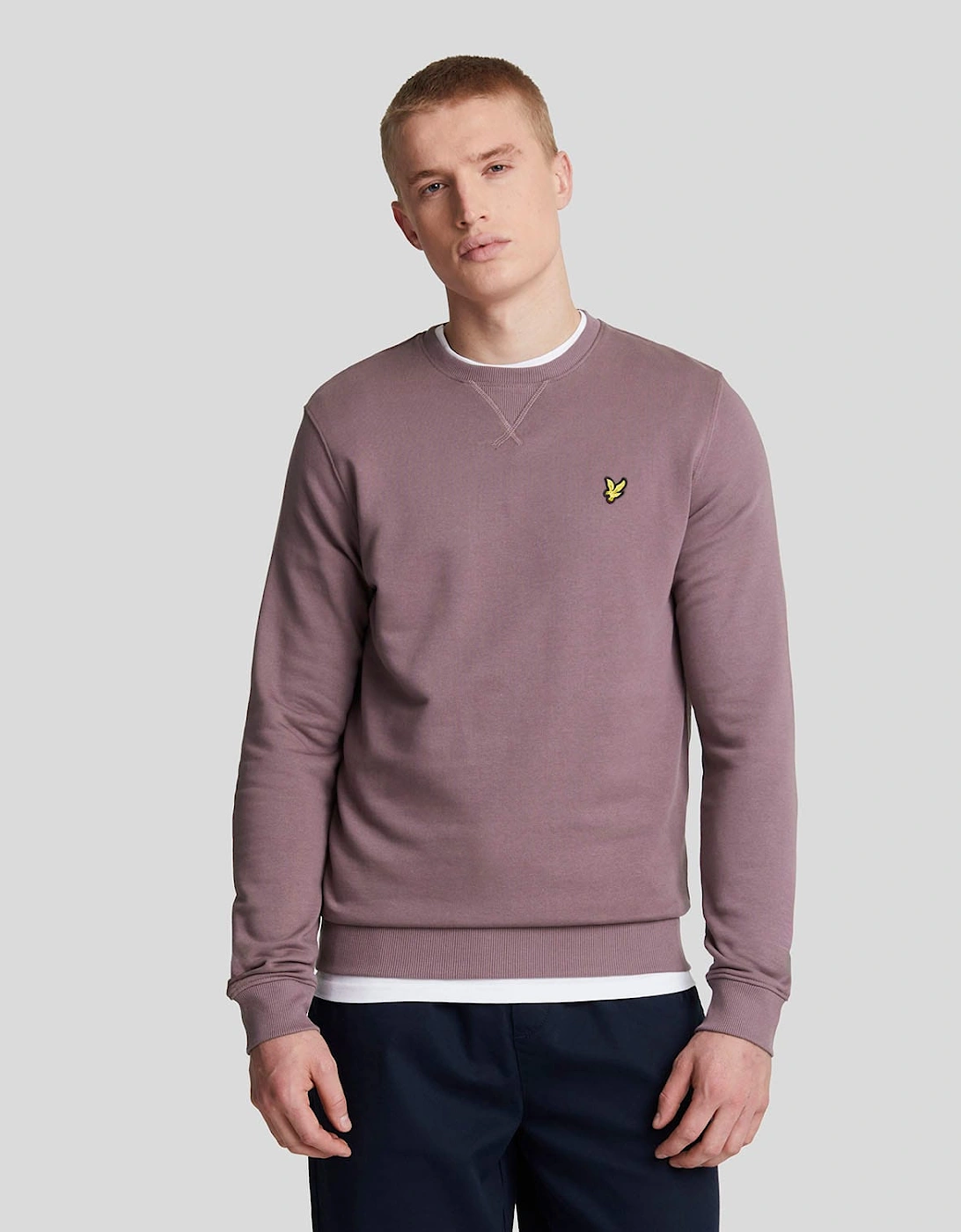 Lyle And Scott Men's Purple Crewneck Sweatshirt - : 38 M