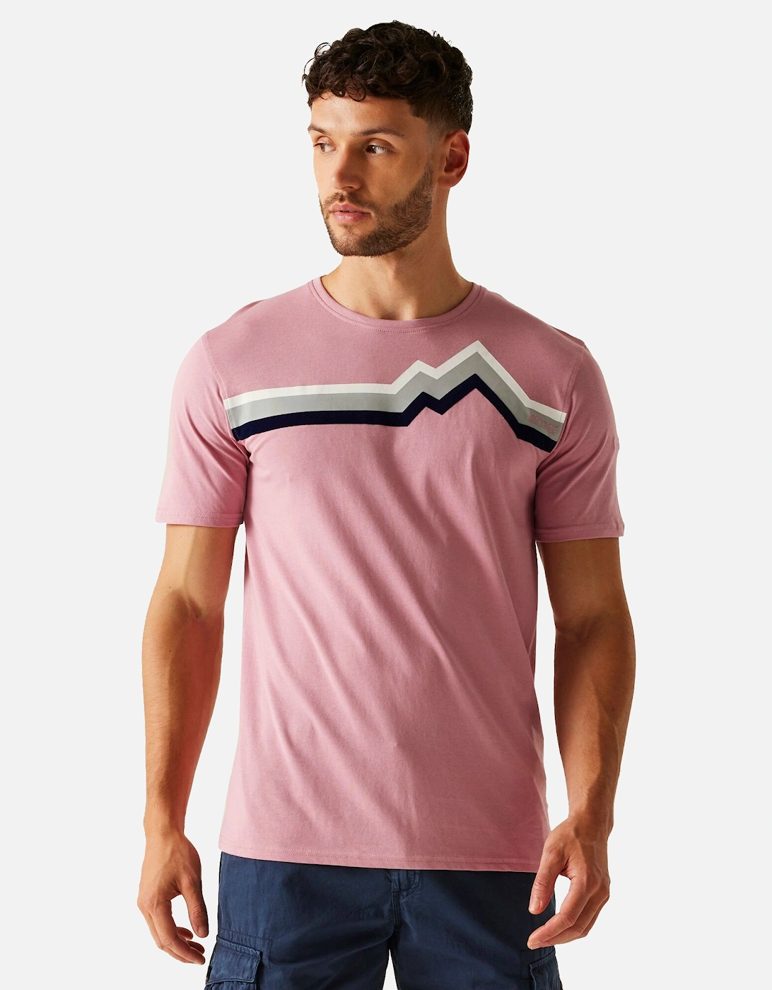 Mens Linear Mountain T-Shirt